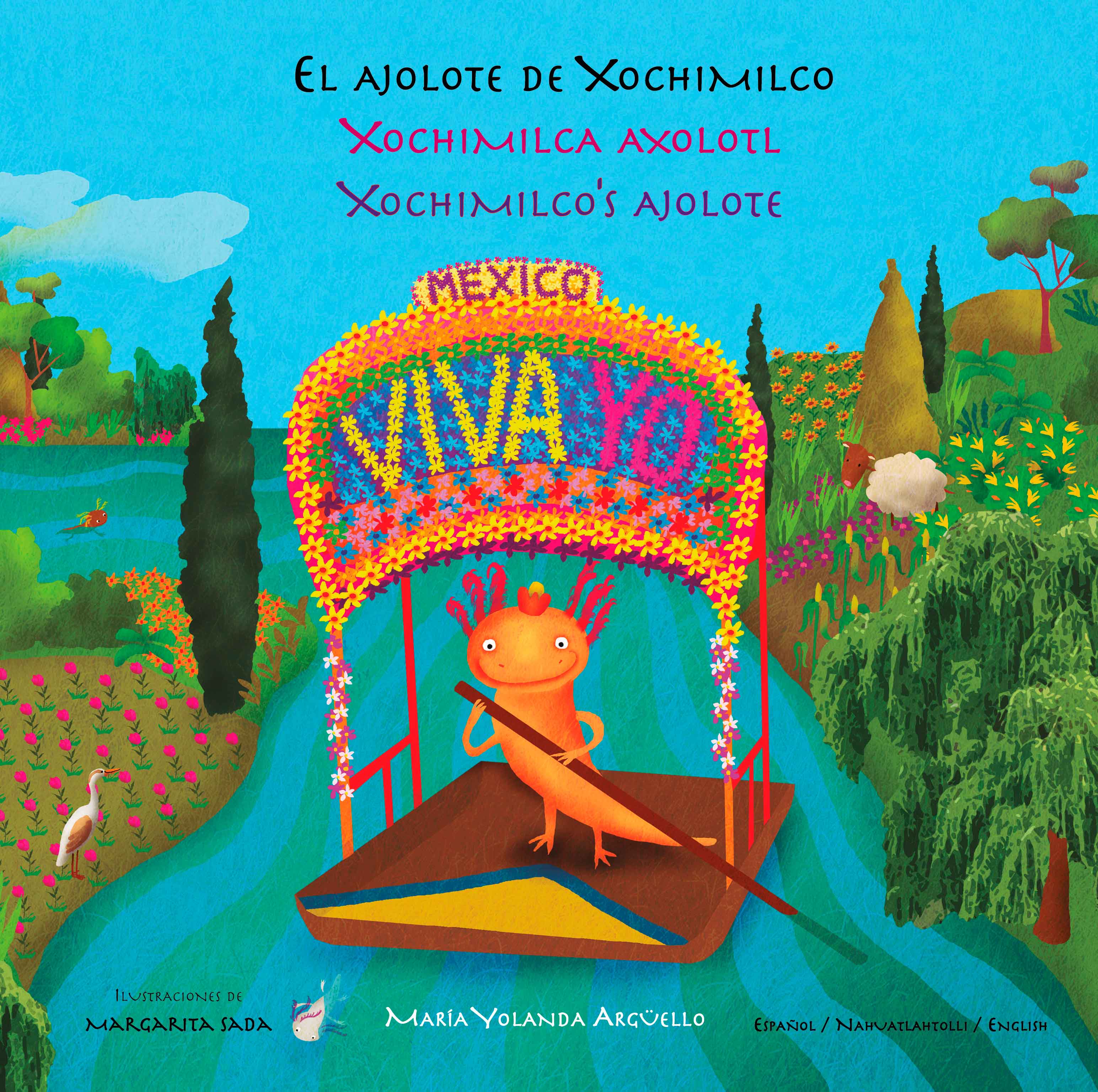 El ajolote de Xochimilco / Xochimilca axolotl / Xochimilco’s ajolote