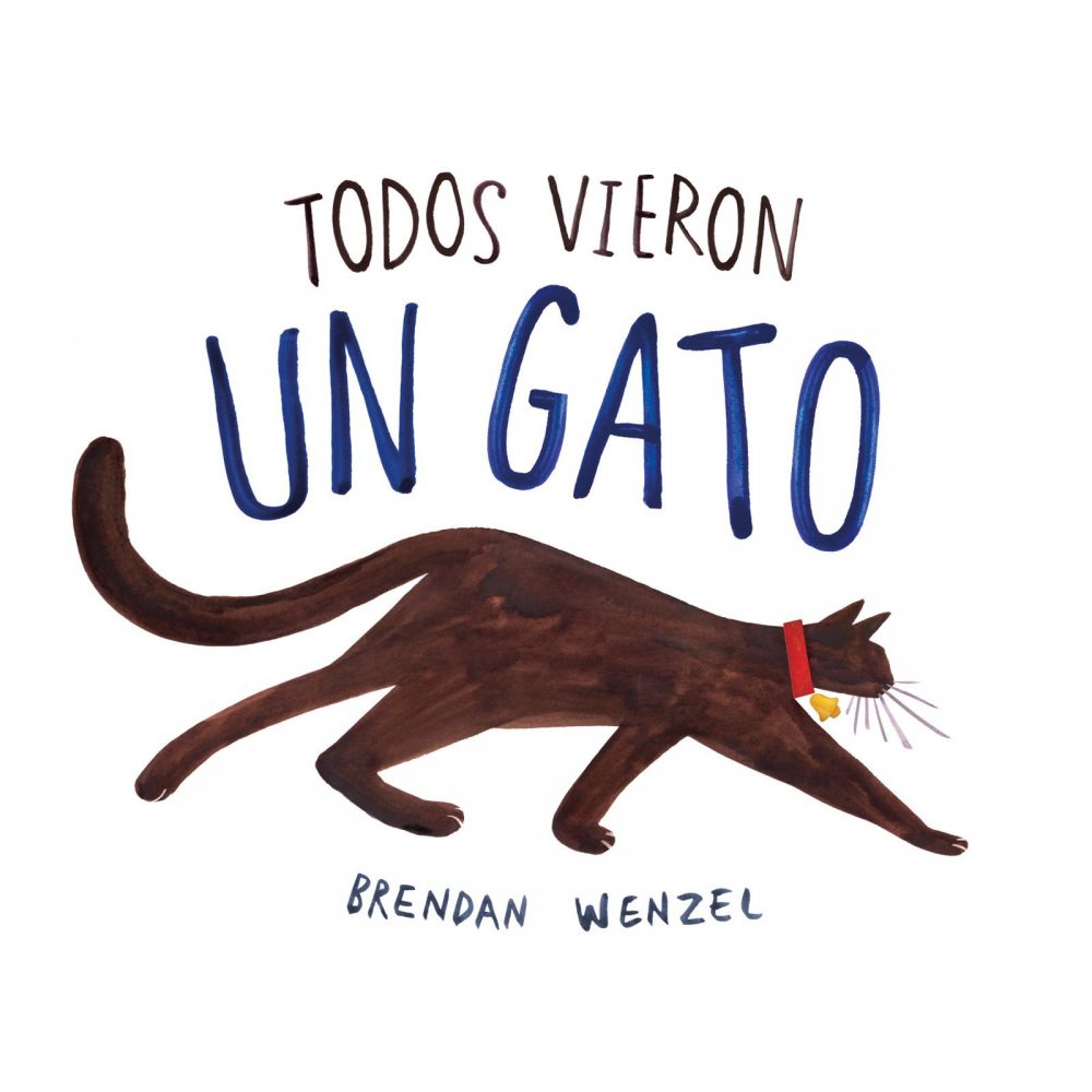 Todos vieron un gato