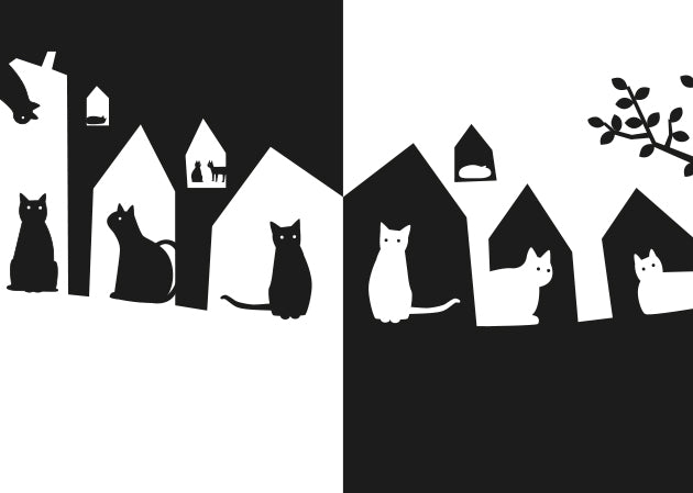 Gato negro, gato blanco