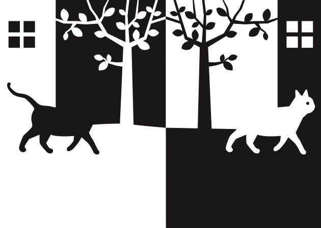 Gato negro, gato blanco