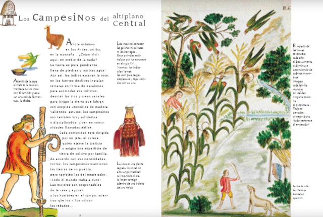 Incas