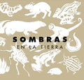 Sombras en la tierra