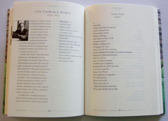 24 poetas latinoamericanos