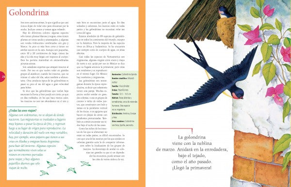 El jardín de los pájaros