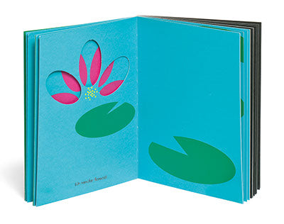 ¿2 ojos?