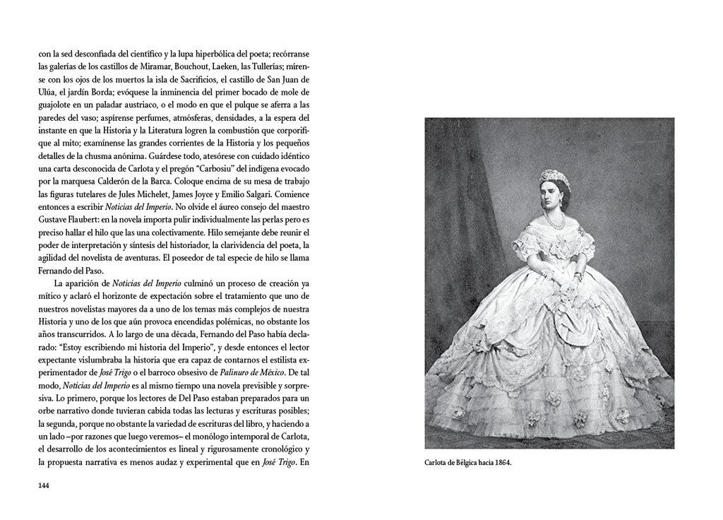 Los primeros hijos de México. Ensayos sobre la Intervención francesa y el Imperio de Maximiliano