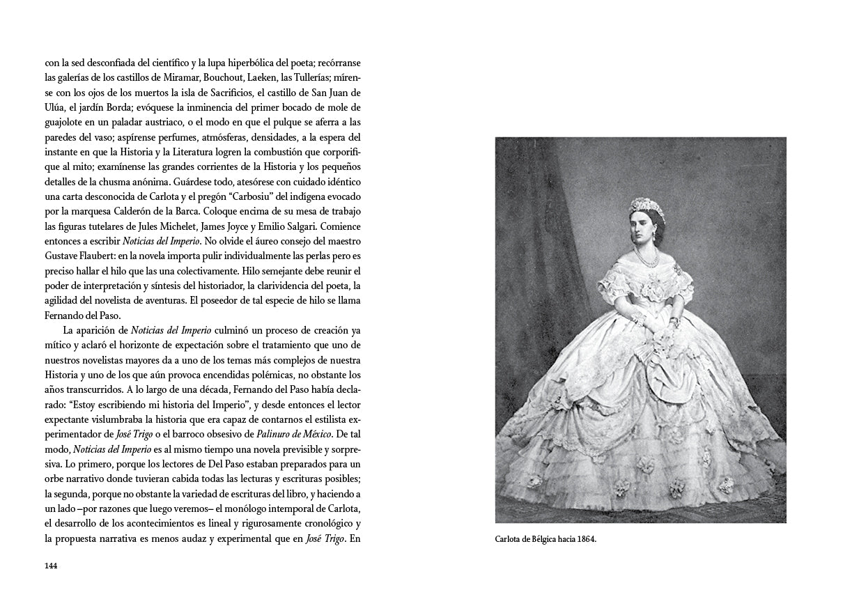 Los primeros hijos de México. Ensayos sobre la Intervención francesa y el Imperio de Maximiliano