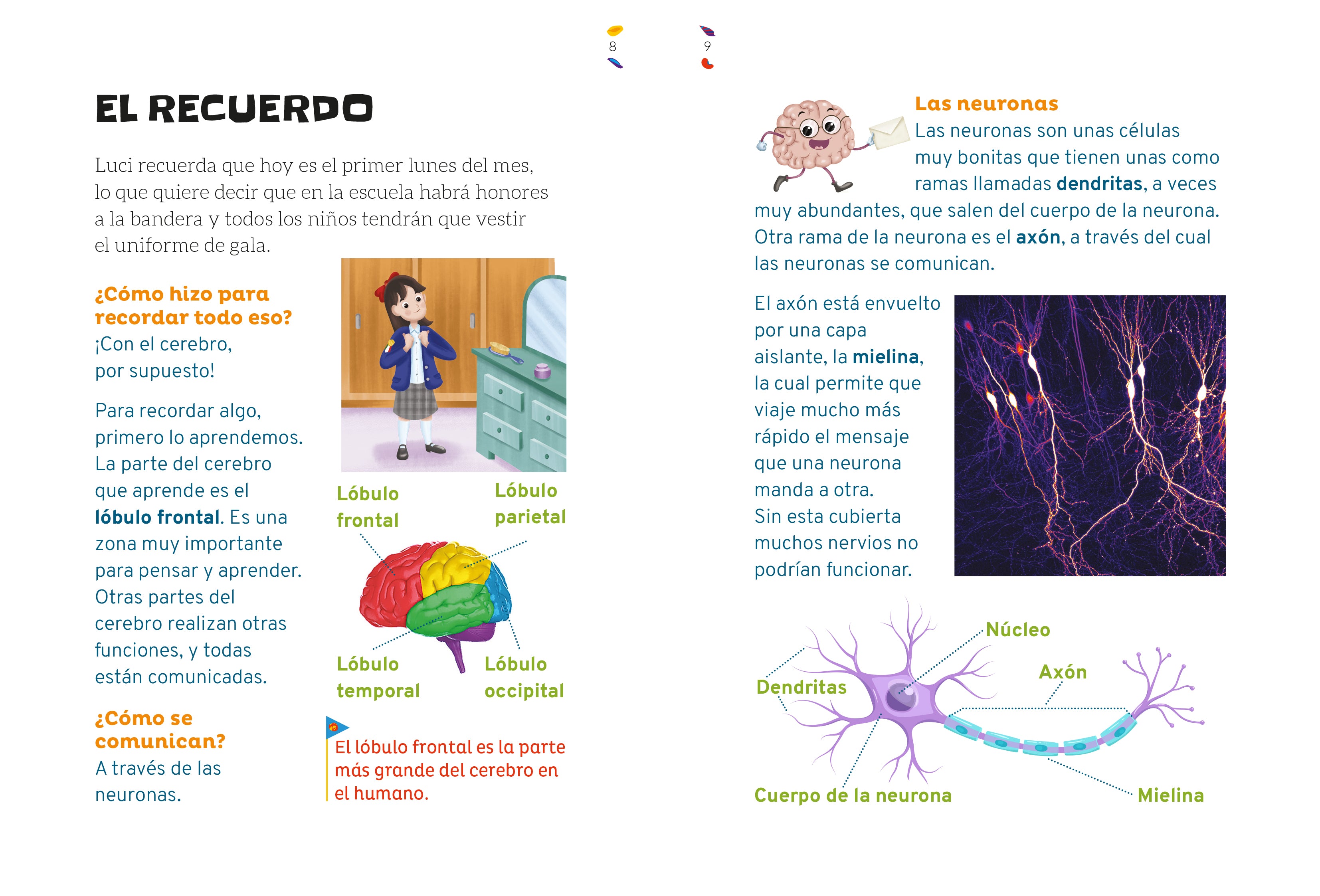 Mi cerebro y yo con Lucia y sus amigos