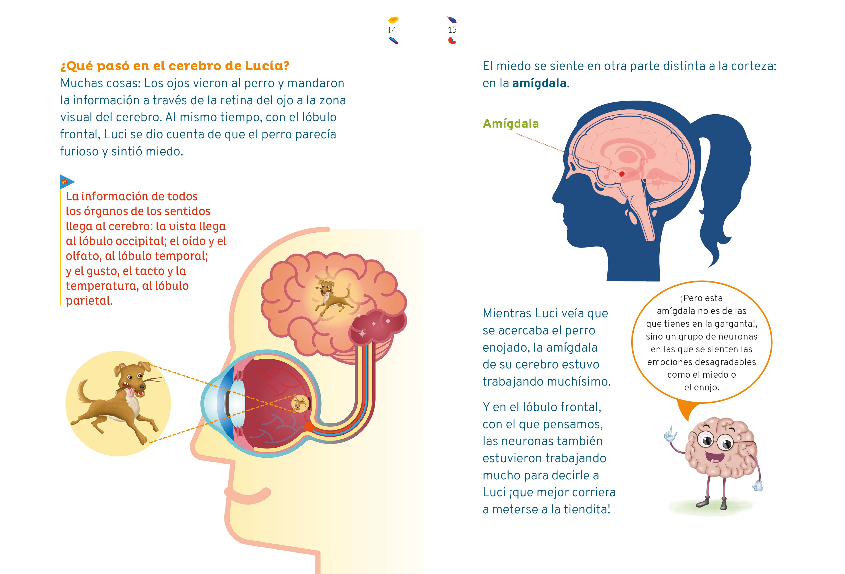 Mi cerebro y yo con Lucia y sus amigos
