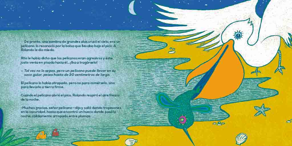 Rolando, el colibrí