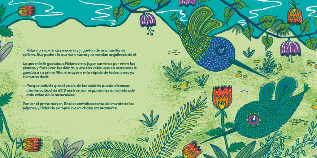 Rolando, el colibrí