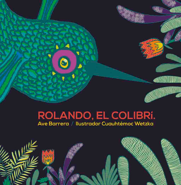 Rolando, el colibrí