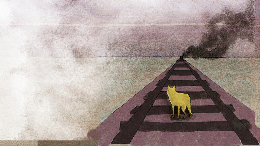 Trenes