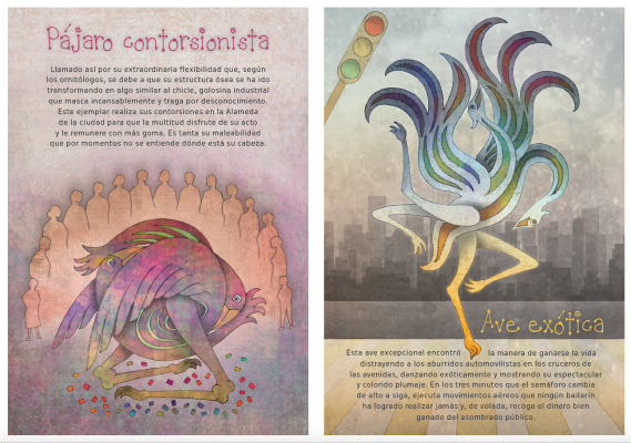 Pájaros urbanos