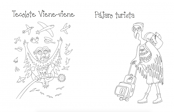 Pintapájaros