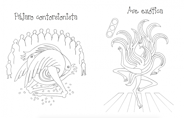 Pintapájaros